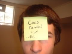 User Image